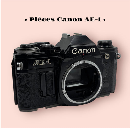Canon AE-1 / Pièces détachées